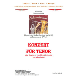 Konzert für Tenor