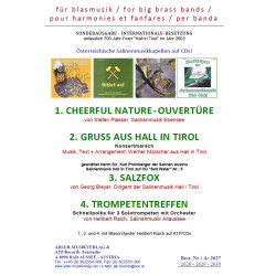 Gruß aus Hall in Tirol